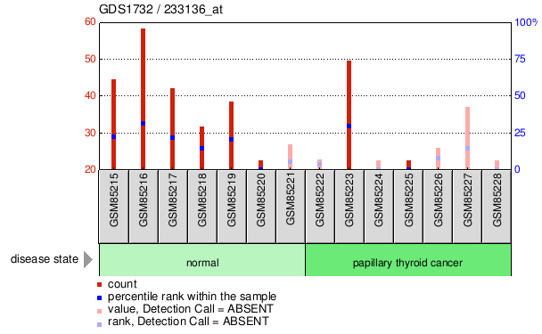 Gene Expression Profile