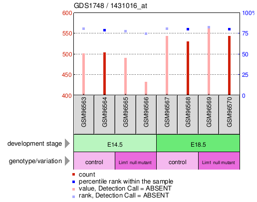 Gene Expression Profile