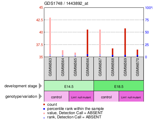 Gene Expression Profile