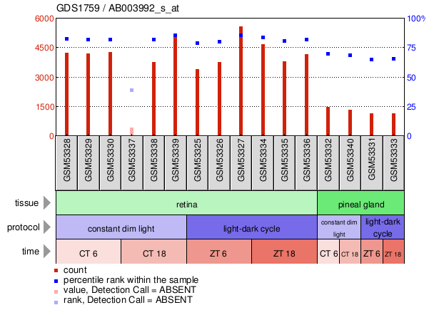 Gene Expression Profile