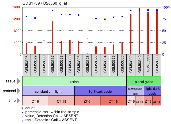 Gene Expression Profile