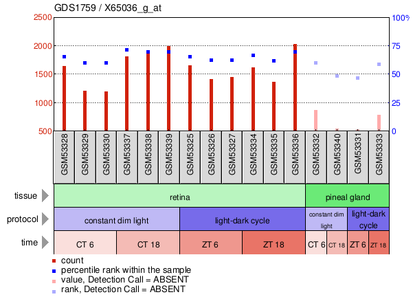 Gene Expression Profile