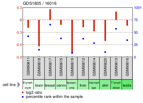 Gene Expression Profile