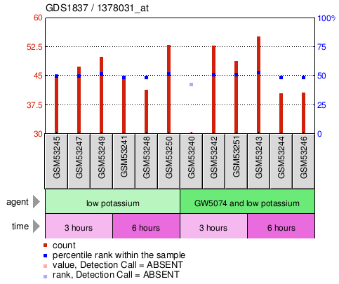 Gene Expression Profile