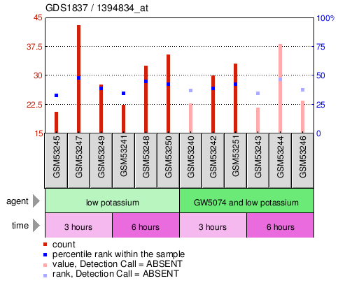 Gene Expression Profile