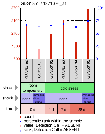 Gene Expression Profile