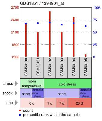 Gene Expression Profile