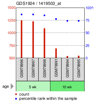 Gene Expression Profile