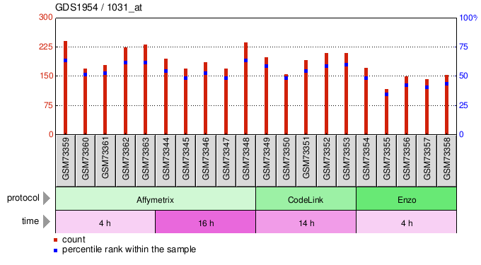 Gene Expression Profile