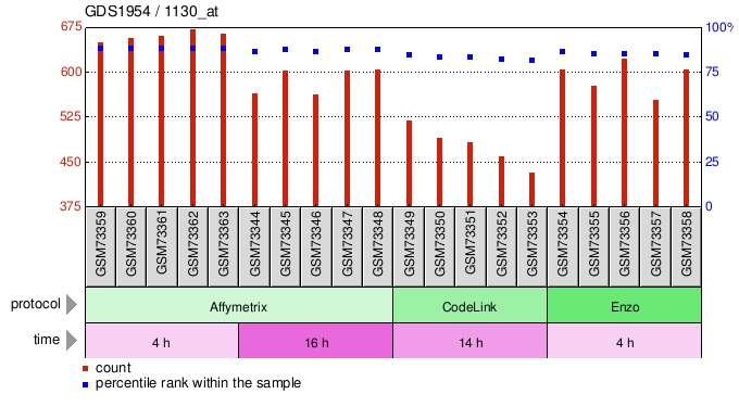 Gene Expression Profile