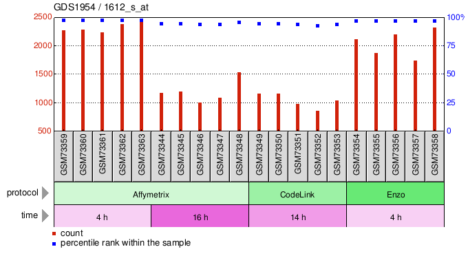 Gene Expression Profile