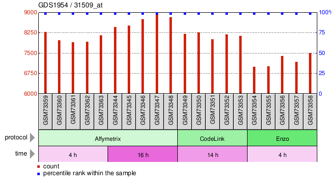 Gene Expression Profile