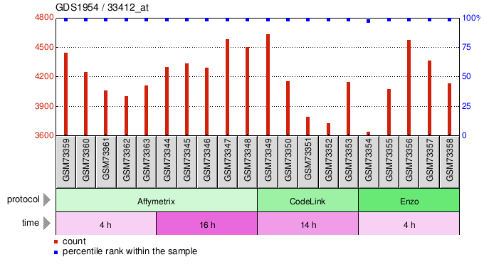 Gene Expression Profile