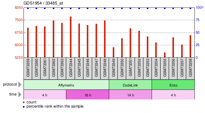 Gene Expression Profile