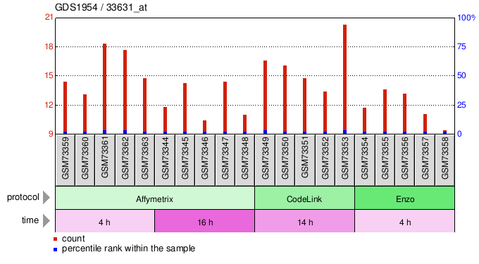 Gene Expression Profile