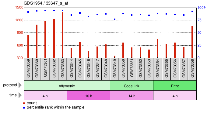 Gene Expression Profile