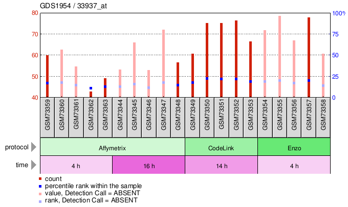 Gene Expression Profile