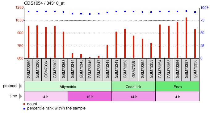 Gene Expression Profile