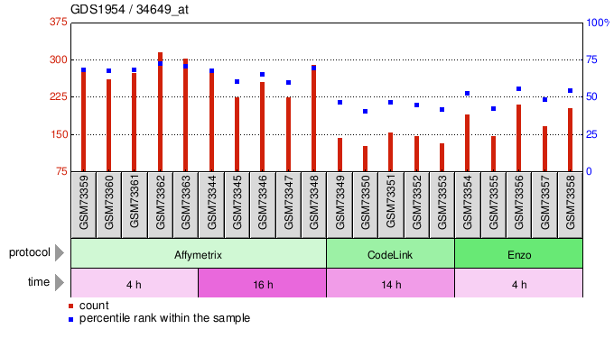 Gene Expression Profile