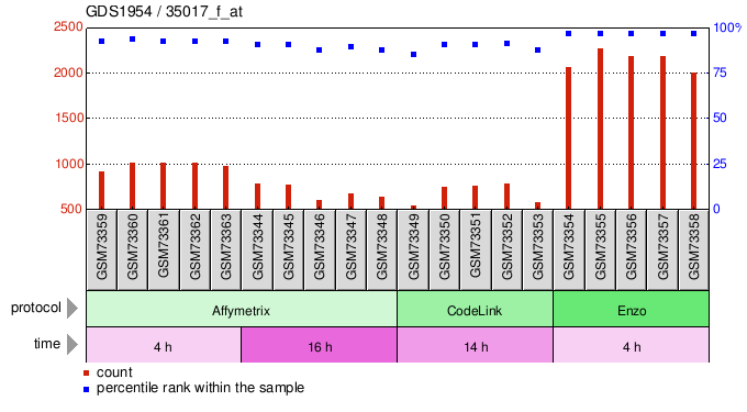 Gene Expression Profile