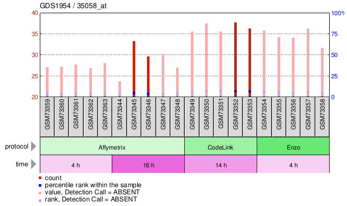 Gene Expression Profile