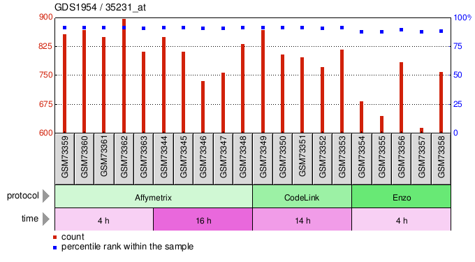 Gene Expression Profile