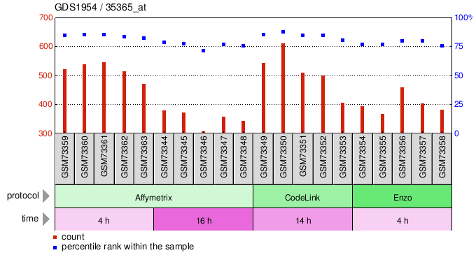 Gene Expression Profile