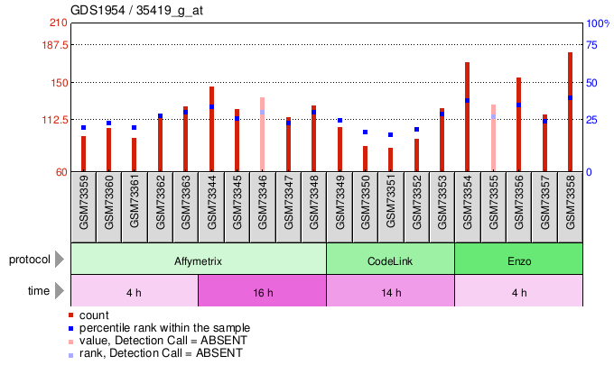 Gene Expression Profile