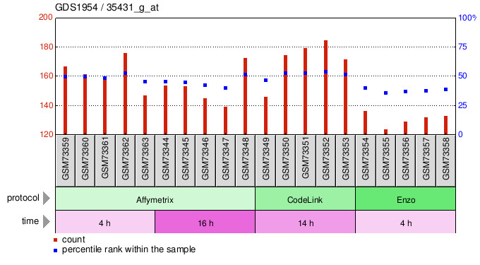 Gene Expression Profile