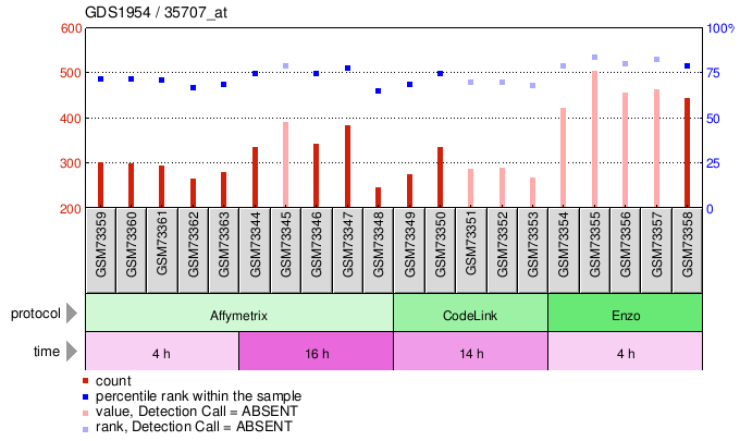 Gene Expression Profile