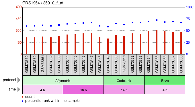 Gene Expression Profile