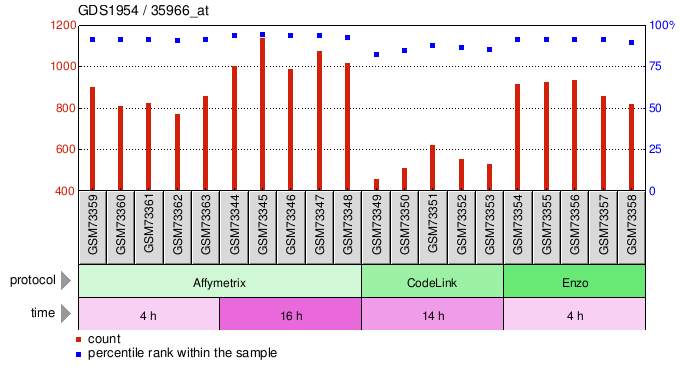 Gene Expression Profile