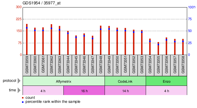 Gene Expression Profile