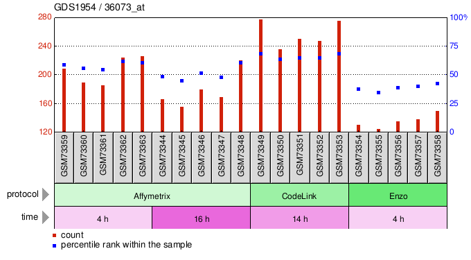 Gene Expression Profile