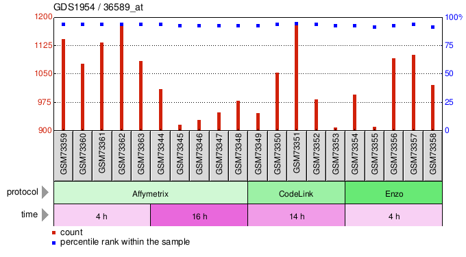 Gene Expression Profile