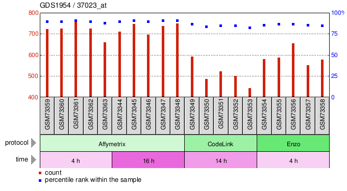 Gene Expression Profile