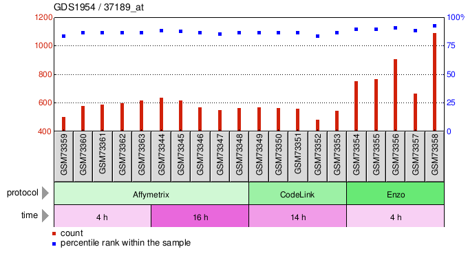 Gene Expression Profile