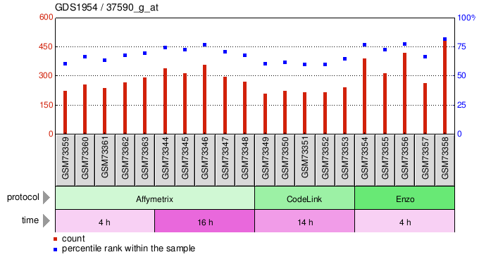 Gene Expression Profile