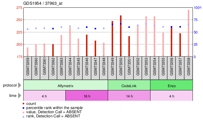 Gene Expression Profile