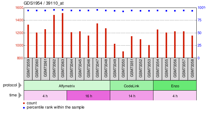 Gene Expression Profile