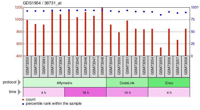 Gene Expression Profile