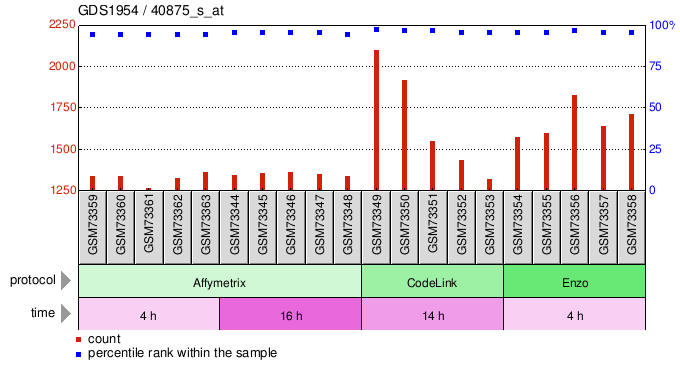 Gene Expression Profile