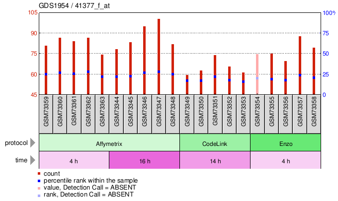 Gene Expression Profile