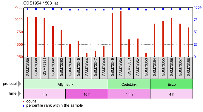 Gene Expression Profile