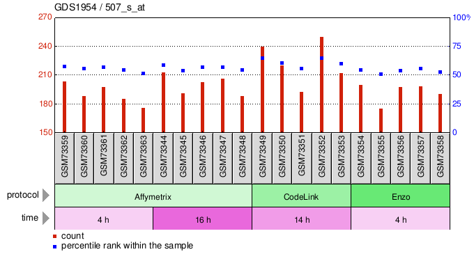 Gene Expression Profile