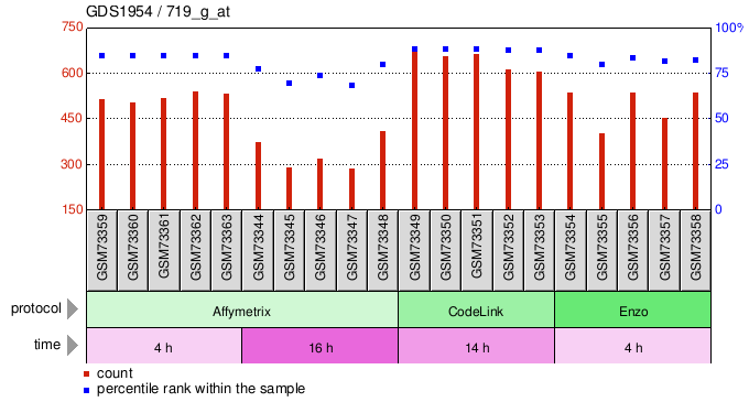 Gene Expression Profile