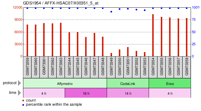 Gene Expression Profile