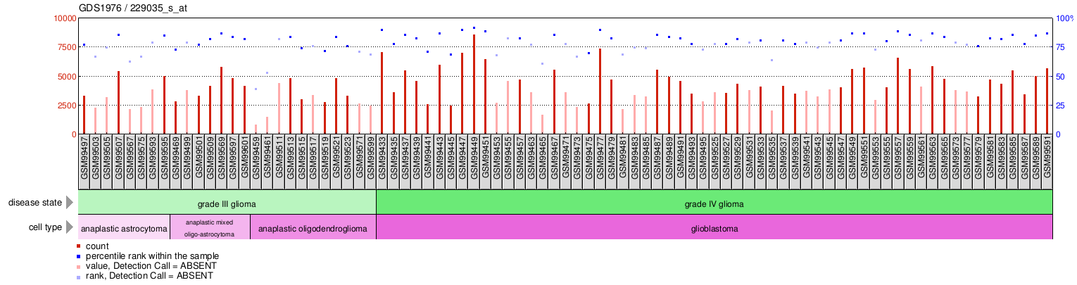 Gene Expression Profile