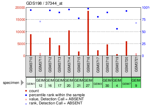 Gene Expression Profile