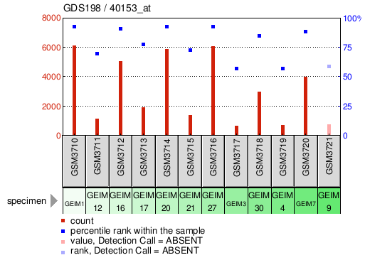 Gene Expression Profile